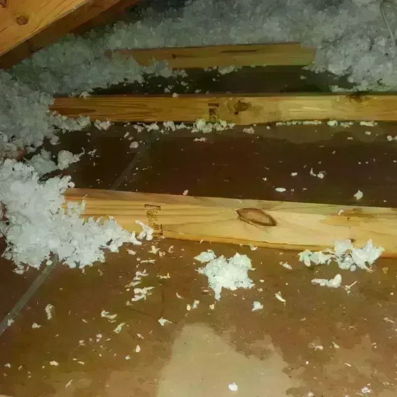 Attic Water Damage in Apple Mountain Lake, VA